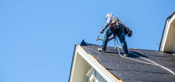 Professional Roofing Contractor in Hopkins, MN